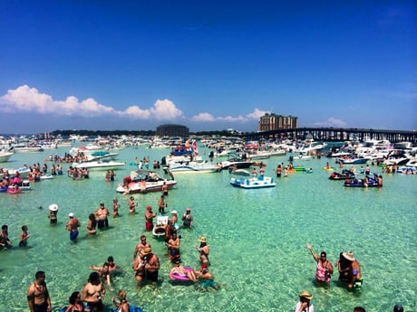 people standing and partying at crab island