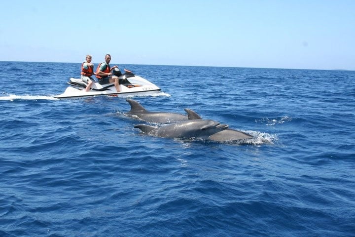 jet ski riders seeing dolphins in Destin FL