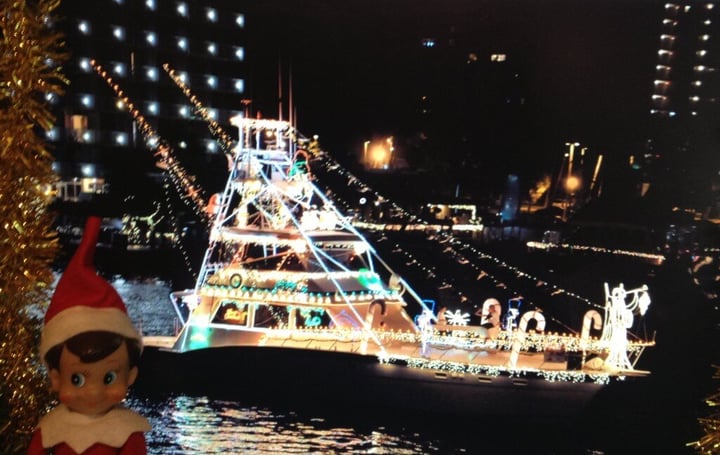 elf goes to a Christmas boat parade