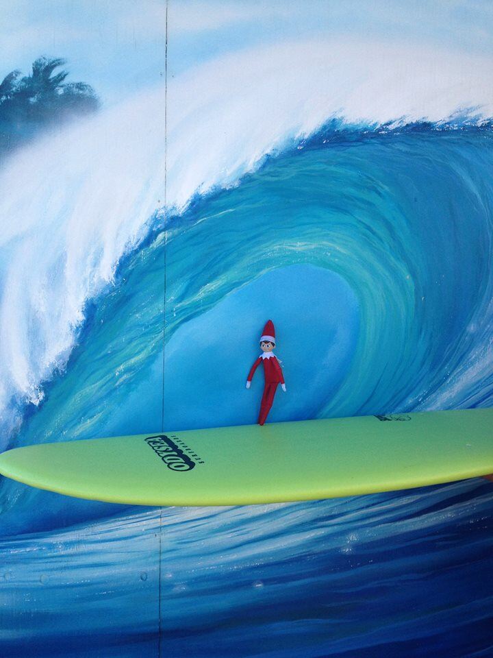 elf goes surfing