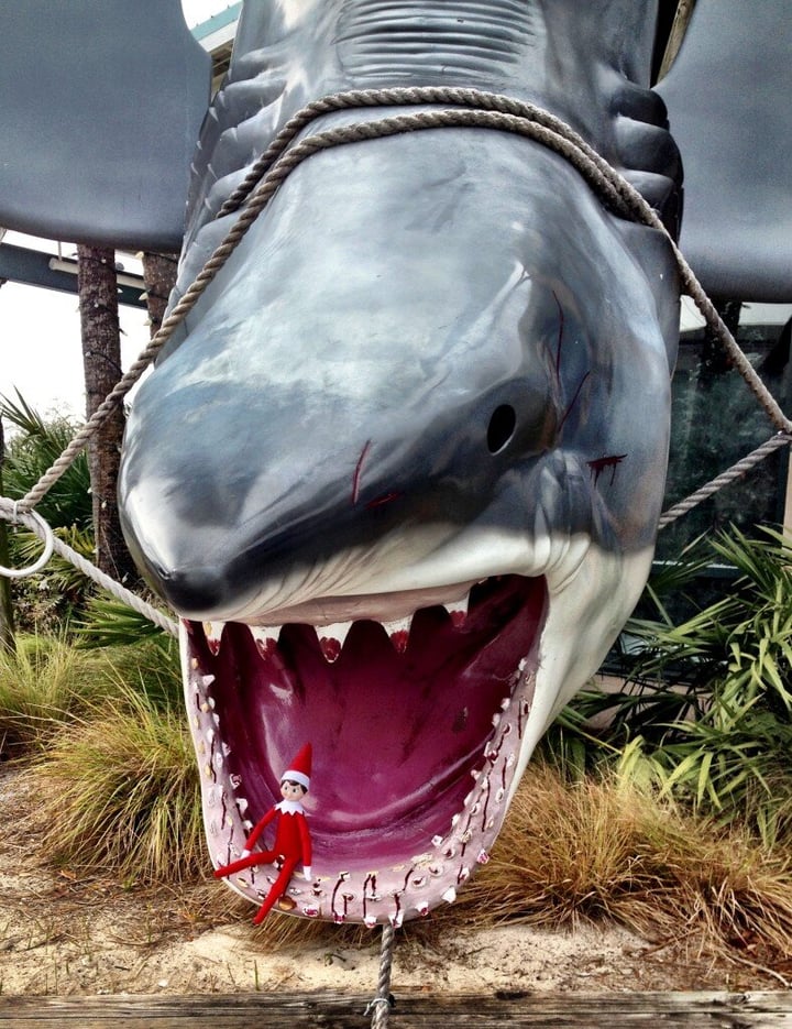 elf stands in a sharks mouth